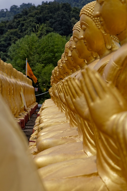 Magha Puja Buddhist Memorial-064